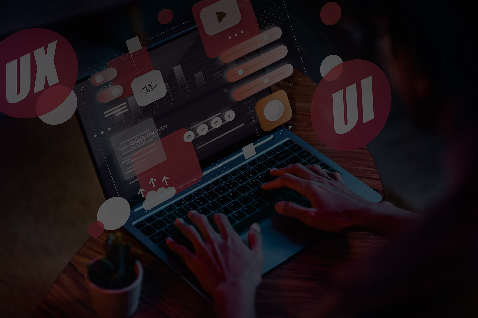 Web Tasarımı